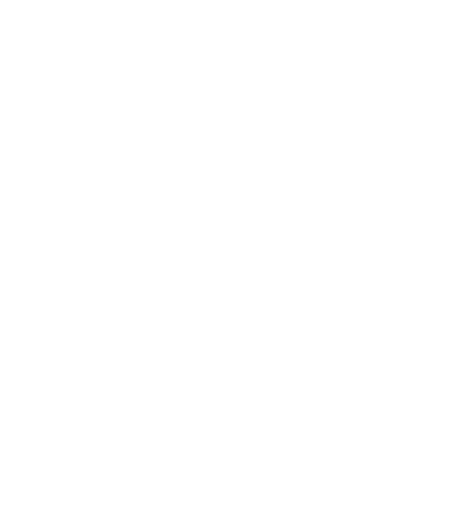 brain